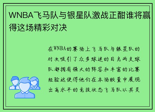WNBA飞马队与银星队激战正酣谁将赢得这场精彩对决