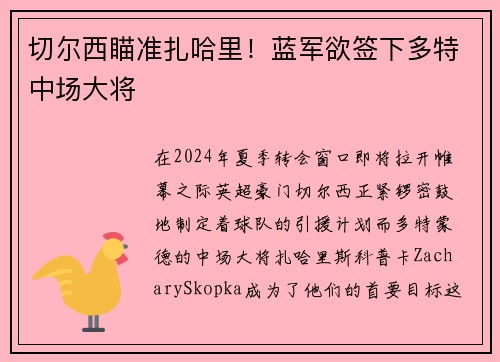 切尔西瞄准扎哈里！蓝军欲签下多特中场大将